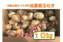 【ふるさと納税】 【2026年発送分・先行予約】【訳あり】農家さん直送 低農薬玉ねぎ 約10kg S~2L混合 【ご家庭用※傷有り】【2026年4月中旬~7月中旬発送予定】
