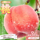 【ふるさと納税】 <甘い香りと果汁が自慢>桃13~15玉【2025年7月~8月頃順次発送】 | もも 桃 モモ 甘い ジューシー ふるさと納税 和歌山 先行予約 果物 品種 送料無料 産地直送 絶品 濃厚 特産品 名産品