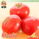 【ふるさと納税】 太陽の恵みたっぷりの天野とまと【桃太郎トマト約4kg】【2025年7月中旬~10月下旬発送】/ とまと トマト 完熟 和歌山 甘い 先行受付 旬 国産