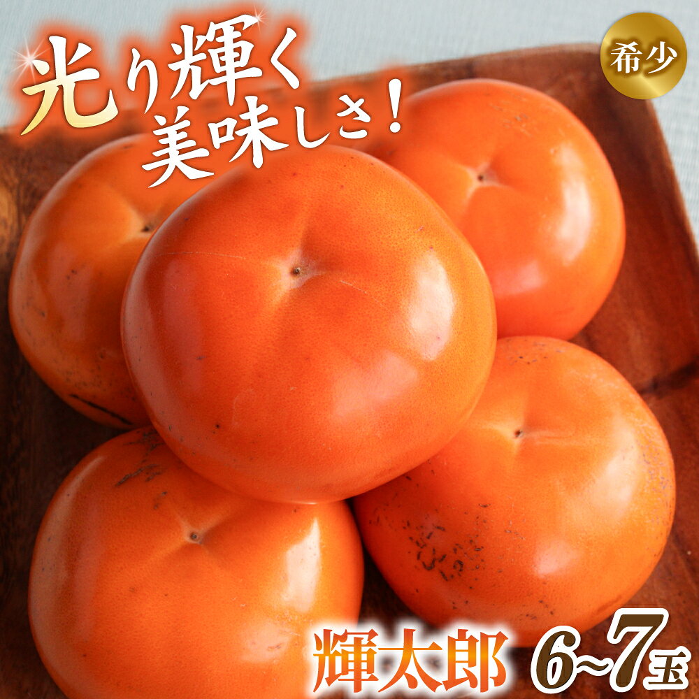 【ふるさと納税】 ☆希少な高級甘柿☆ 先行予約 〇 輝太郎 〇 6～7玉入り【2026年9月中旬～10月上旬頃発送予定】/ 柿 かき フルーツ果物 旬 和歌山県 かつらぎ町 大玉 甘い ジューシー 高糖度【A-frks176】