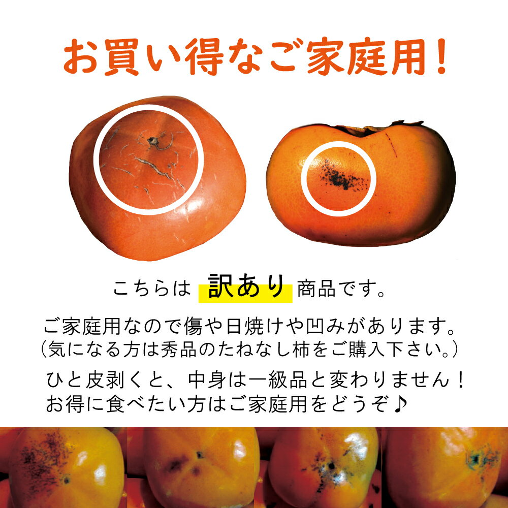 【ふるさと納税】【ご家庭用】紀の川柿 約5kg 18 ～ 20個 カキエモン農園 【2025年10月中旬～11月中旬頃順次発送】 果物 くだもの フルーツ 柿 かき 和歌山 人気 送料無料 | 柿 かき フルーツ 果物 くだもの 食品 人気 おすすめ 送料無料 産地直送