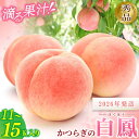【ふるさと納税】 ☆2026年先行予約☆ 和歌山県産 白鳳 桃 11~15玉入り 秀品【2026年6月下旬から7月下旬ごろ発送】/ かつらぎ町 和歌山県産 桃 モモ 白鳳 フルーツ 果物 くだもの 人気 産地直送 厳選 甘い 予約