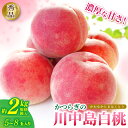 21位! 口コミ数「2件」評価「5」 和歌山県産 川中島白桃 5〜8玉入り 秀品 先行予約【2025年7月下旬から8月中旬ごろ発送】【MG7】