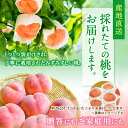 和歌山県かつらぎ町の画像3