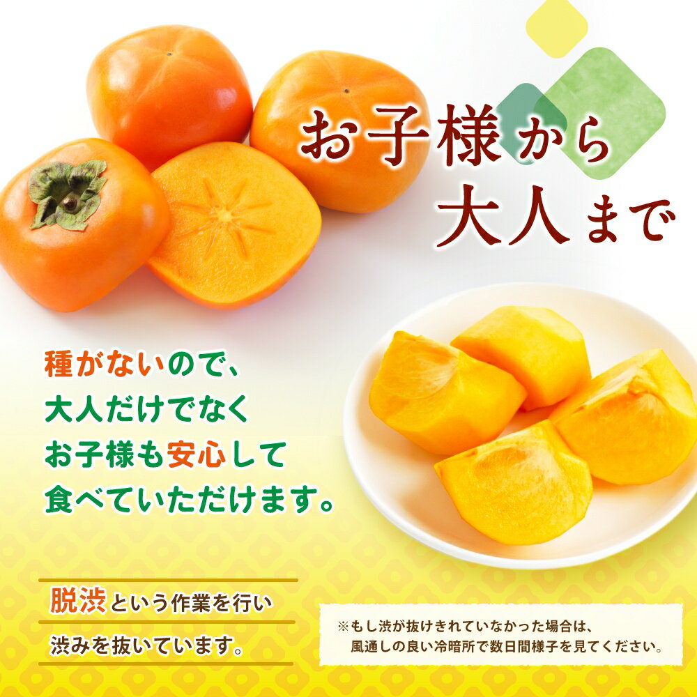 【ふるさと納税】 【訳あり・ご家庭用】和歌山県産 平核無柿約10kg【2025年10月上旬〜11月上旬頃順次発送】【MG3w】 | 柿 たねなし柿 平核無柿 果物 フルーツ 和歌山 和歌山 特産品 先行予約 お取り寄せ