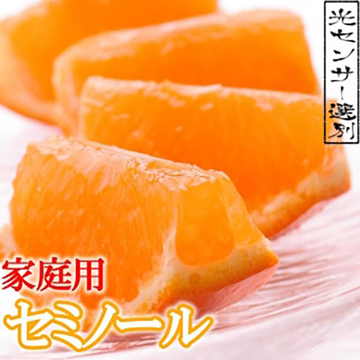 【ふるさと納税】家庭用セミノールオレンジ3kg+90g（傷み補償分）訳あり＜4月より発送＞ | 和歌山県 和歌山 九度山町 楽天ふるさと 納税 みかん ミカン 蜜柑 柑橘 柑橘類 かんきつ 果物 フルーツ 旬の果物 食品