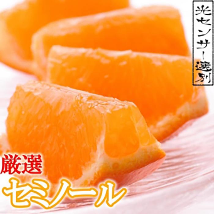 【ふるさと納税】＜4月より発送＞家庭用 セミノールオレンジ5