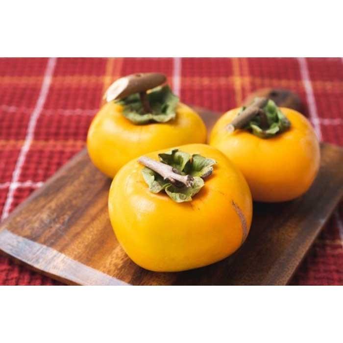 【ふるさと納税】吊るし柿用たね無渋柿T軸又はクリップ付紐付約1.5〜2kg 約6〜12個<2026年10月中旬〜11月上旬ごろ順次発送>【ART11】 | フル...