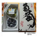 【ふるさと納税】一心農園のブドウ 贈答用(2~5房入り) 品種お任せ