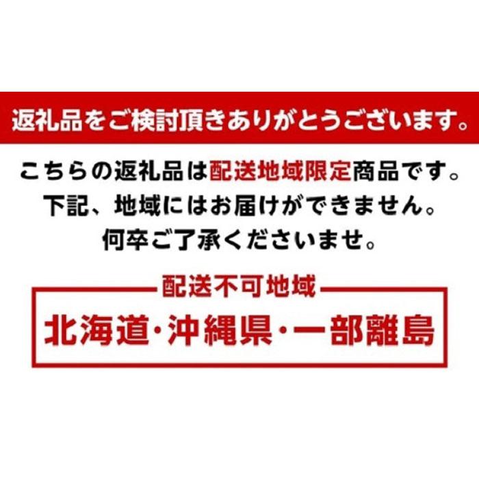 【ふるさと納税】とろり みかんネクター1000ml×2本【無添加100%ストレートジュース】【有田みかんジュース】 | フルーツ 果物 くだもの 食品 人気 おすすめ 送料無料