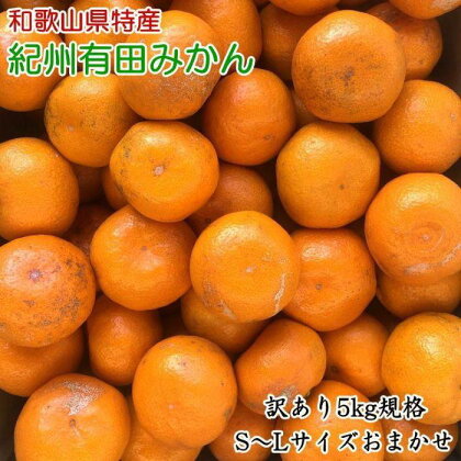 【訳あり】和歌山有田みかん約5kg（S～Lサイズいずれかお届け）★2024年11月中旬頃より順次発送【TM81】 | 楽天ふるさと 納税 みかん ミカン 蜜柑 柑橘 柑橘類 かんきつ 果物 くだもの フルーツ 旬の果物 食品 食べ物