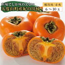 【ふるさと納税】◆先行予約◆和歌山県産 紀の川柿　6-10玉入【2024年10月中旬以降発送】