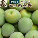 【ふるさと納税】＜6月発送＞家庭用 紀州南高梅(青梅)5kg 150g（傷み補償分）訳あり 和歌山県 九度山町 和歌山 返礼品 楽天ふるさと