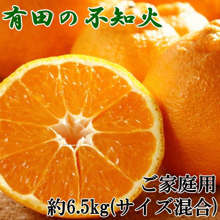 【濃厚】有田の不知火約6.5kgご家庭用向け（サイズ混合）★2025年2月上旬頃より順次発送【TM139】 | 和歌山県 楽天ふるさと 納税 返礼品 支援 フルーツ デコポン でこぽん みかん ミカン 不知火 名産品 特産品 取り寄せ ご当地 果物 くだもの 柑橘類 柑橘