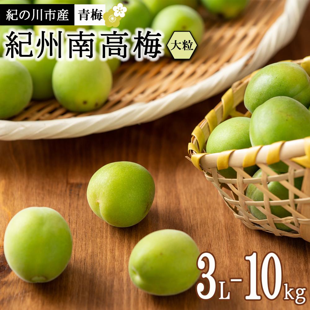 【ふるさと納税】紀州南高梅(青梅) 10kg＜大粒／3Lサイズ以上＞【2024年5月下旬以降発送】【MG15】 | 和歌山県 和歌山 九度山町 楽天ふるさと 納税 返礼品 支援品 名産品 特産品 お取り寄せ ご当地 梅 うめ ウメ 紀州 南高梅 なんこううめ 青うめ あおうめ 生梅 取り寄せ