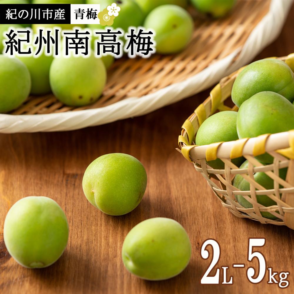 【ふるさと納税】紀州南高梅(青梅) 5kg＜2Lサイズ＞【2024年5月下旬以降発送】【MG11】 | 和歌山県 和歌山 九度山町 楽天ふるさと 納税 返礼品 支援品 名産品 特産品 お取り寄せ ご当地 梅 うめ ウメ 紀州 南高梅 なんこううめ 青うめ あおうめ 生梅 取り寄せ 名産 特産