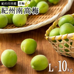 【ふるさと納税】紀州南高梅(青梅) 10kg＜Lサイズ＞【2024年5月下旬以降発送】【MG10】 | 和歌山県 和歌山 九度山町 楽天ふるさと 納税 返礼品 支援品 名産品 特産品 お取り寄せ ご当地 梅 うめ ウメ 紀州 南高梅 なんこううめ 青うめ あおうめ 生梅 取り寄せ 名産 特産