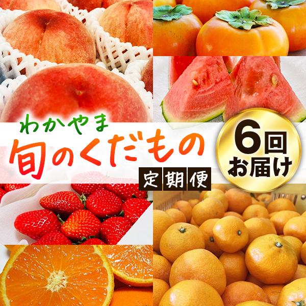 わかやま旬のくだもの定期便 全6回[S][2・3・6・7・10・11月発送 ]※北海道・沖縄・離島への配送不可 S6-d