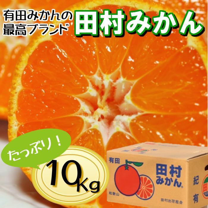 【ふるさと納税】高級みかん秀 田村みかん 約10kg 【2025年11月発送分】【NGT11w】 | みかん 蜜柑 フルーツ 果物 くだもの 食品 人気 おすすめ 送料無料