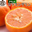 【ふるさと納税】<4月より発送> 厳選 カラマンダリン5kg+150g(傷み補償分)南津海・なつみ光センサー選別 希少な春柑橘 みかんと同じように食べられます[...