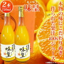 【ふるさと納税】有田みかん果汁100％ジュース「味皇」720