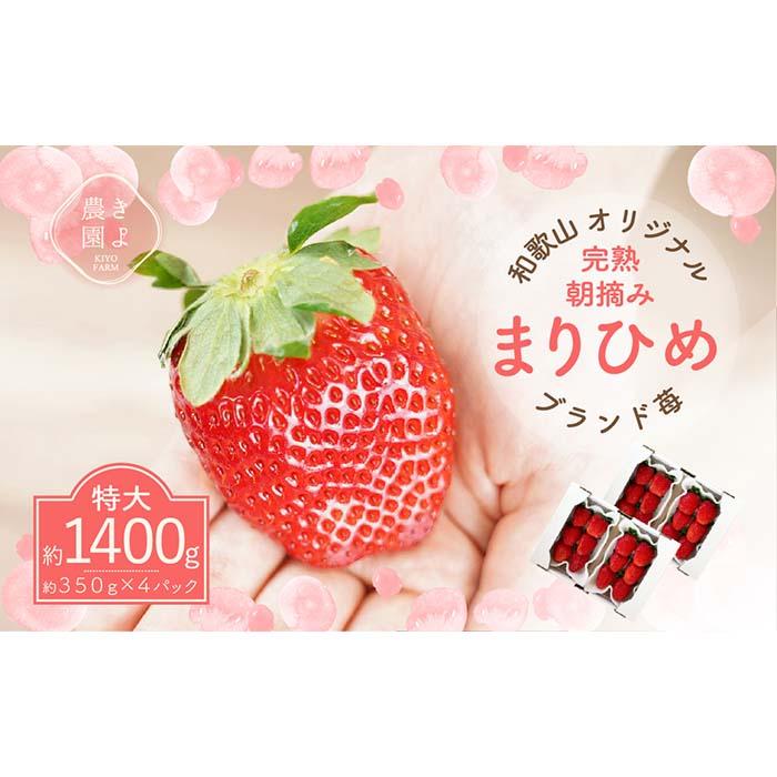14位! 口コミ数「0件」評価「0」特大まりひめイチゴ 朝摘 6個～11個入×4パック【2025年1月中旬頃より発送】【先行予約】【KT4】 | 苺 いちご フルーツ 果物 く･･･ 