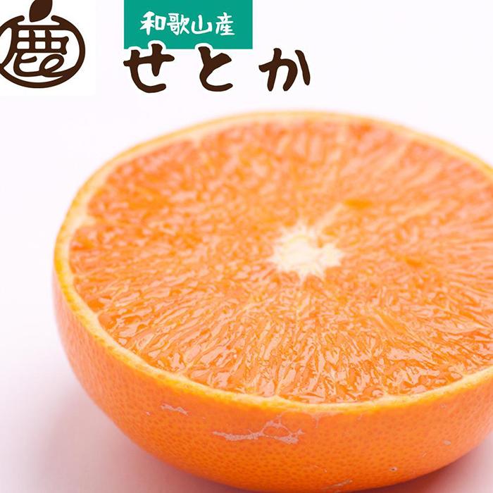 【ふるさと納税】＜先行予約＞厳選せとか2kg+60g（傷み補償分）【柑橘・春みかんの王様】【光センサー選果・食べ頃出荷】【2月中旬より発送】 | 和歌山 みかん ミカン 蜜柑 柑橘 柑橘類 かんきつ 果物 くだもの フルーツ 旬の果物 食品 食べ物 果実