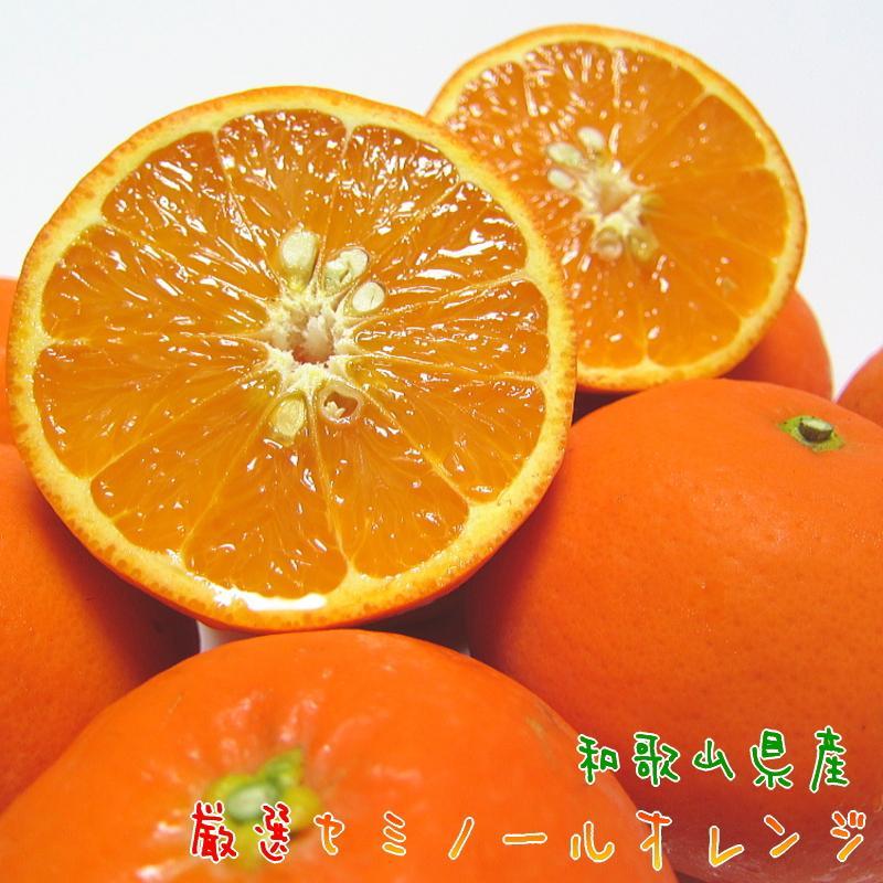 厳選 セミノール オレンジ 2kg[農家直送][先行予約・2025年4月上旬〜4月下旬発送][和歌山県産] | フルーツ 果物 くだもの 食品 人気 おすすめ 送料無料
