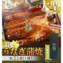 18位! 口コミ数「0件」評価「0」大型サイズ　ふっくら柔らか　国産うなぎ蒲焼き　1尾（約2人前）化粧箱入【土用の丑の日のうなぎ】【～7月24日までにお届け】【UT04】 | ･･･ 