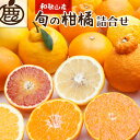 44位! 口コミ数「0件」評価「0」＜1月より発送＞厳選旬の柑橘詰合せ5kg+150g（傷み補償分） | 和歌山県 和歌山 九度山町 みかん ミカン 蜜柑 柑橘 柑橘類 かんき･･･ 