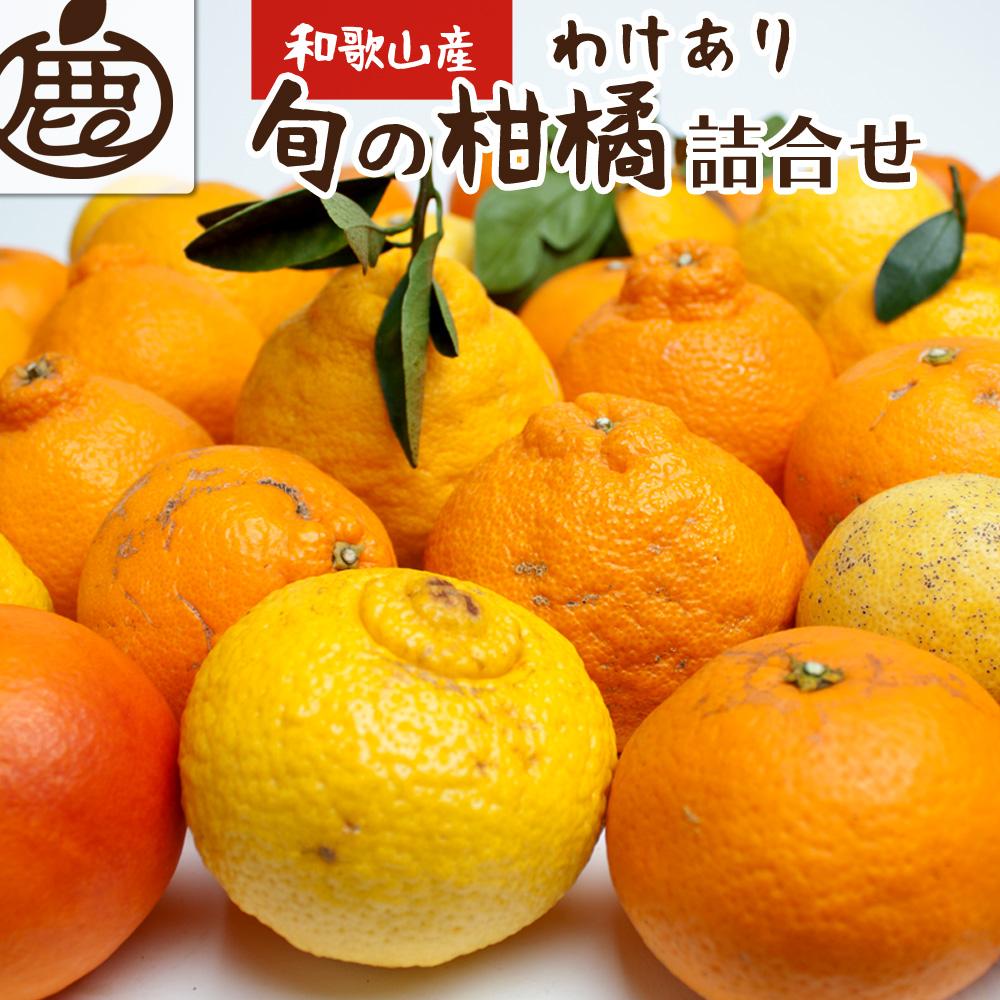 【ふるさと納税】＜1月より発送＞家庭用旬の柑橘詰合せ5kg+
