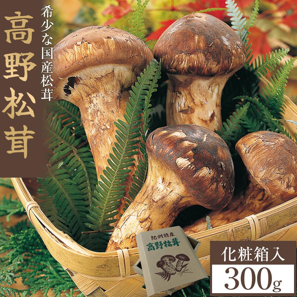 楽天市場】和歌山(まつたけ|きのこ):野菜・きのこ<食品の通販 楽天市場】和歌山(まつたけ|きのこ):野菜・きのこ<食品の通販