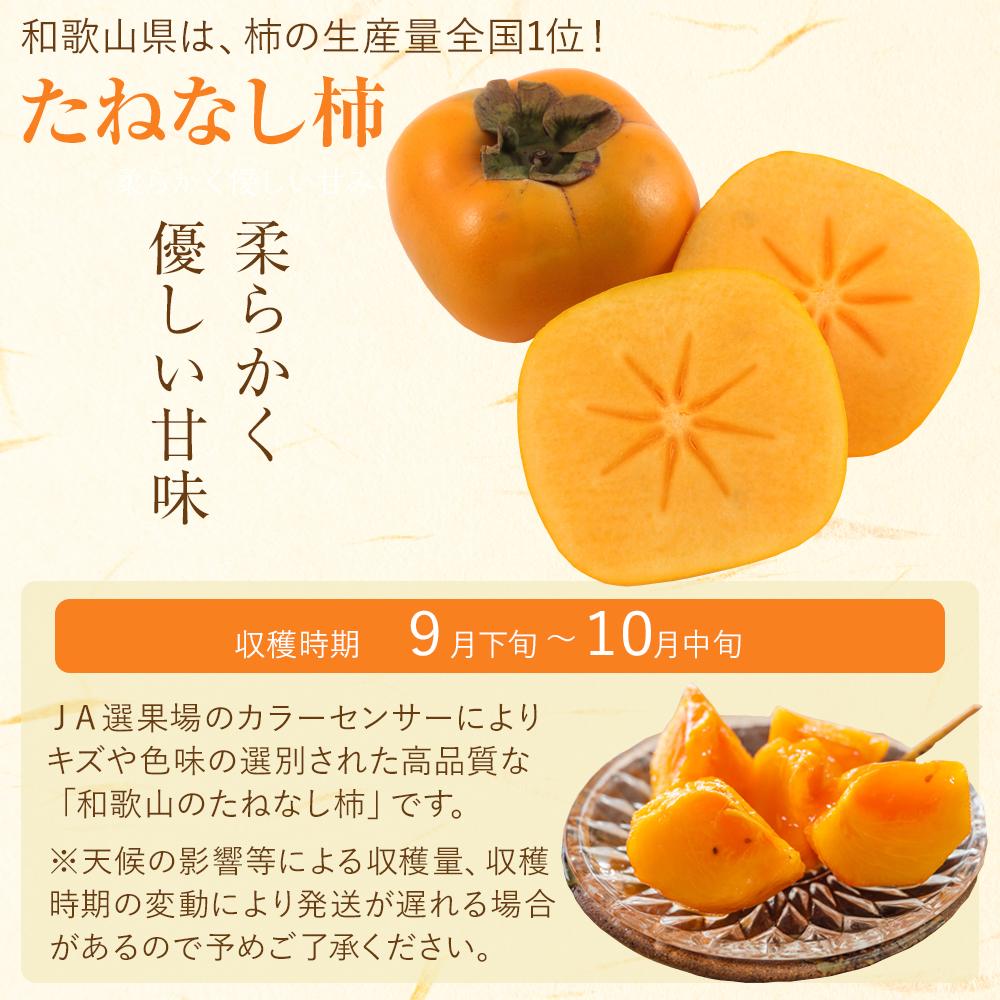 【ふるさと納税】【2026年発送】和歌山の たねなし柿 秀品 約7.5Kg L～4Lサイズ カラーセンサー選果 （和歌山県九度山町産） | 九度山町 高品質 種なし柿 大玉 人気 おすすめ 柿 フルーツ 果物 ギフト 先行予約 お取り寄せ 送料無料 ふるさと納税