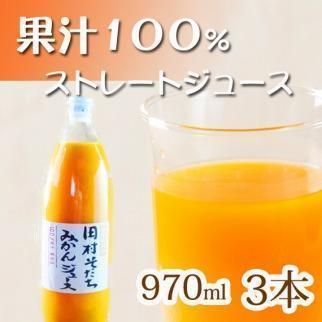 【ふるさと納税】果汁100％田村そだちみかんジュース 970