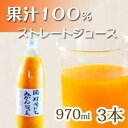 26位! 口コミ数「0件」評価「0」果汁100％田村そだちみかんジュース 970ml×3本 | 和歌山県 和歌山 九度山町 楽天ふるさと 納税 返礼品 支援品 支援 みかんジュ･･･ 