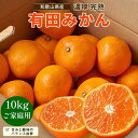 【ふるさと納税】【先行予約】有田育ちのご家庭用 完熟有田みかん10kg【2024年11月上旬より発送】【訳あり】 フルーツ 果物 くだもの 食品 人気 おすすめ 送料無料