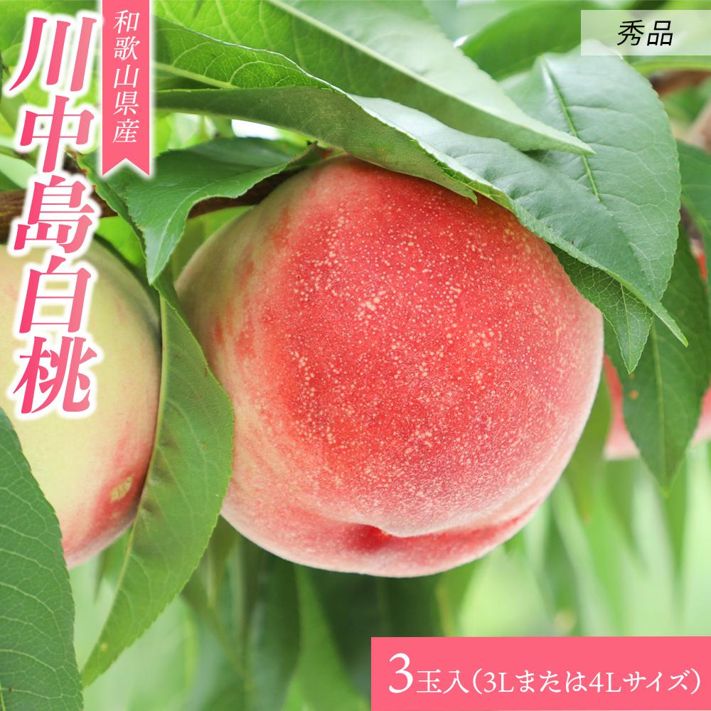 【ふるさと納税】【大玉限定】和歌山県産 川中島白桃 《秀品》 3玉入り（3Lまたは4Lサイズ）【7月下旬..