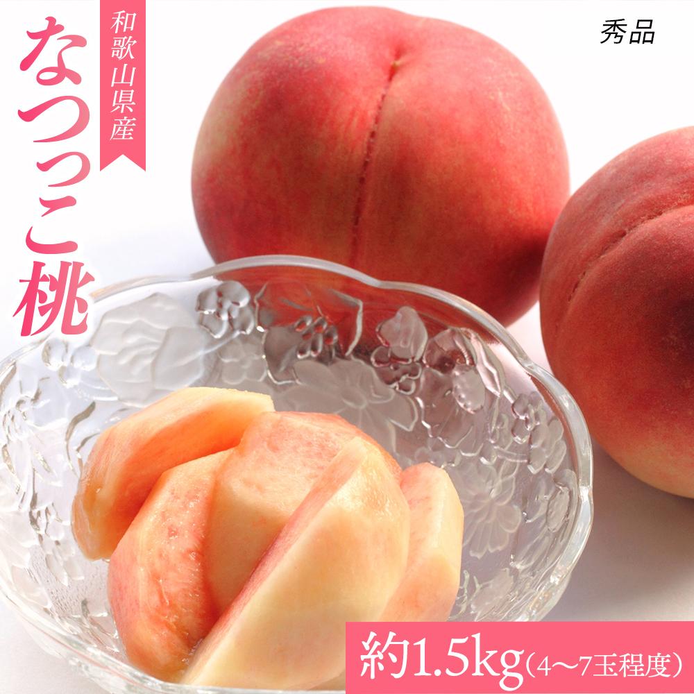 【ふるさと納税】和歌山県産 なつっこ《秀品》 約1.5kg (4～7玉程度）【7月中旬より発送】【MG32】 | ..