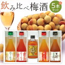 23位! 口コミ数「0件」評価「0」紀州の梅酒 飲み比べ5本セット（白・赤・蜂蜜・黒糖・樽） | 和歌山県 和歌山 九度山町 楽天ふるさと 納税 梅酒 酒 お酒 アルコール飲料･･･ 