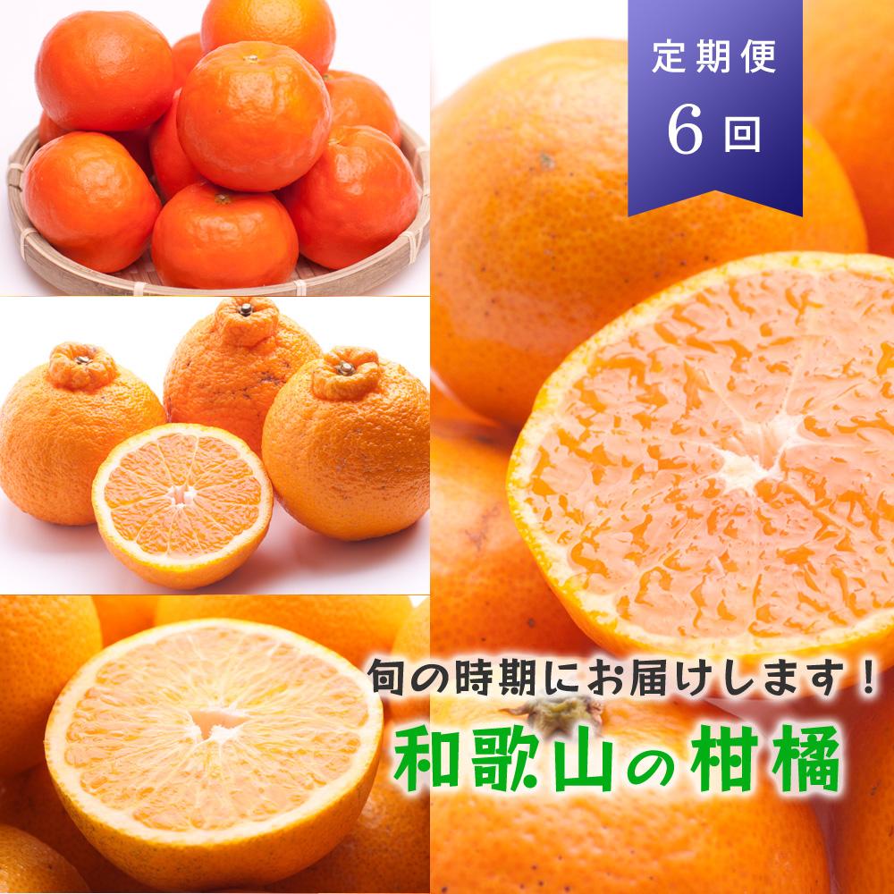 【ふるさと納税】【偶数月 全6回 】 柑橘定期便A【IKE1