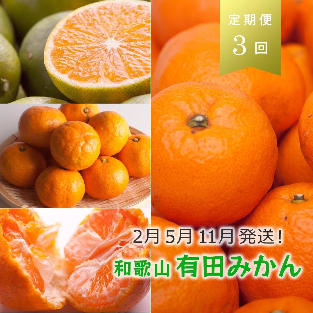 【ふるさと納税】【 2・5・11月 全3回 】 柑橘定期便B