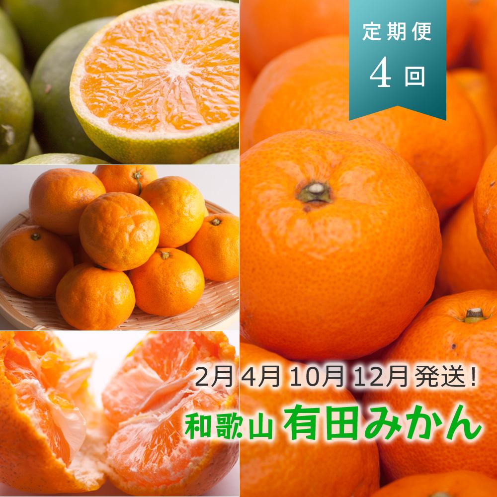 【ふるさと納税】【 2・4・10・12月 全4回 】 柑橘定