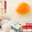 【ふるさと納税】アルカリ化 玉子 紀州地養卵 40個〜80個【通常便・定期便】卵 たまご 玉子 タマゴ 鶏卵 まとめ買い オムレツ 卵かけご飯 朝食 業務用 |...