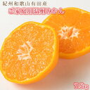 【ふるさと納税】【ご家庭用訳アリ】紀州有田産温州みかん7.5kg【2025年11月下旬以降発送】【先行予約】【UT10】 | 訳あり 和歌山 ふるさと 納税 楽...
