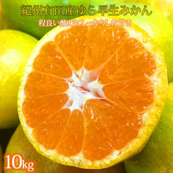 【ふるさと納税】紀州和歌山有田産ゆら早生みかん 10kg【2025年発送】【UT33】