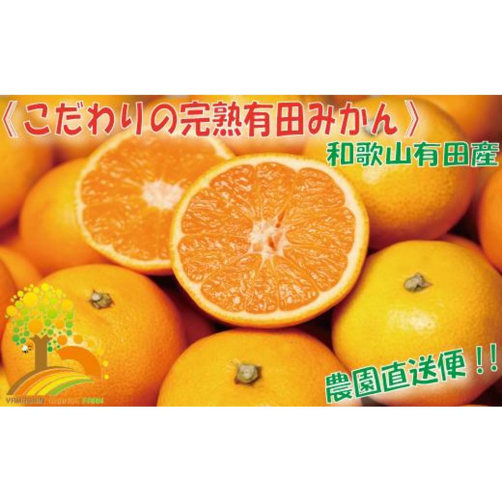 【ふるさと納税】＼農家直送／こだわりの有田みかん 約4kg【2024年11月より順次発送】 | 楽天ふるさと 納税 和歌山 九度山 支援品 返礼品 お礼の品 特産品 果物 フルーツのサムネイル
