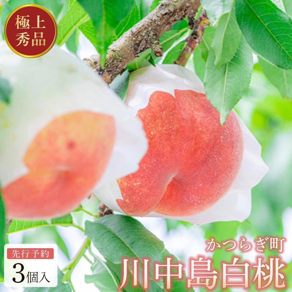 【ふるさと納税】【秀品】川中島白桃 食べきりやすい3個入り 【2025年7月末頃から順次発送】こだわり 農家厳選 先行予約 モモ 【KG16】 | もも フルーツ 果物 くだもの 食品 人気 おすすめ 送料無料