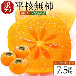 【ふるさと納税】リピーター多数 和歌山県産 訳あり 平核無柿 7.5kg L~2L サイズをお届け たねなし柿なのでお子様でも食べやすい 選果場から直送でお届けします< 2025年10月上旬~発送> | 九度山町ふるさと納税 人気のフルーツ 柿 送料無料 種無し柿 ご家庭用