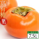 【ふるさと納税】【2025年11月中旬〜発送】和歌山県産 訳あり 富有柿 7.5kg L ~ 2L サイズ ご家庭用 柿 選果場 直送 | 柿 かき フルーツ ...