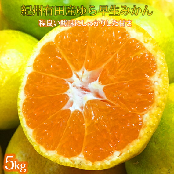 【ふるさと納税】紀州和歌山有田産ゆら早生みかん 5kg【2025年発送】【UT34】